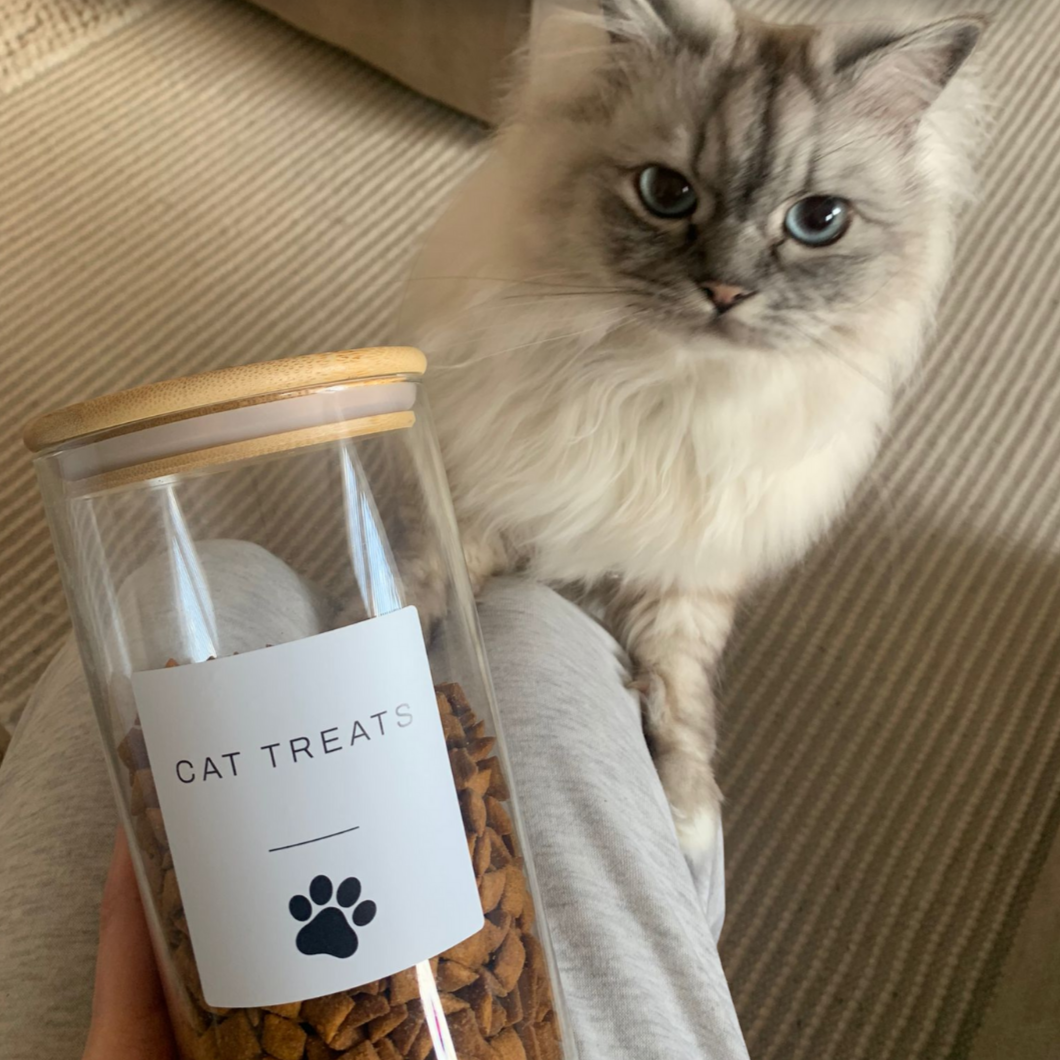 Pet Treat Jar With Bamboo Lid