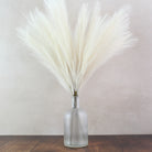 60cm Pampas & Glass Vase - Namie Home