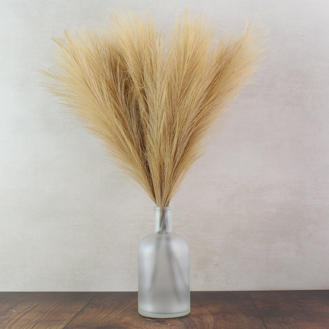 60cm Pampas & Glass Vase