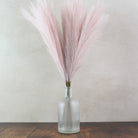 60cm Pampas & Glass Vase - Namie Home