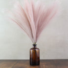 56cm Pampas & Glass Vase - Namie Home