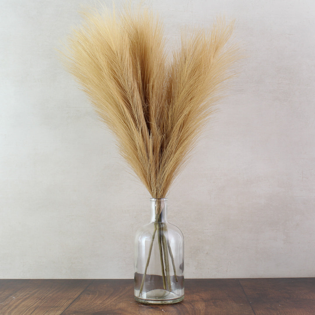 60cm Pampas & Glass Vase