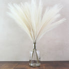 60cm Pampas & Glass Vase - Namie Home