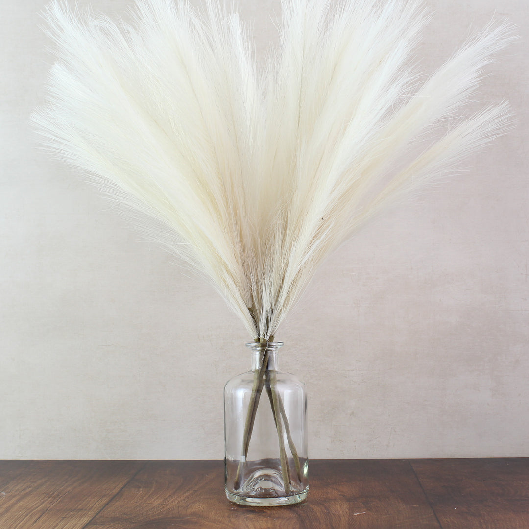 56cm Pampas & Glass Vase