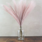 56cm Pampas & Glass Vase - Namie Home