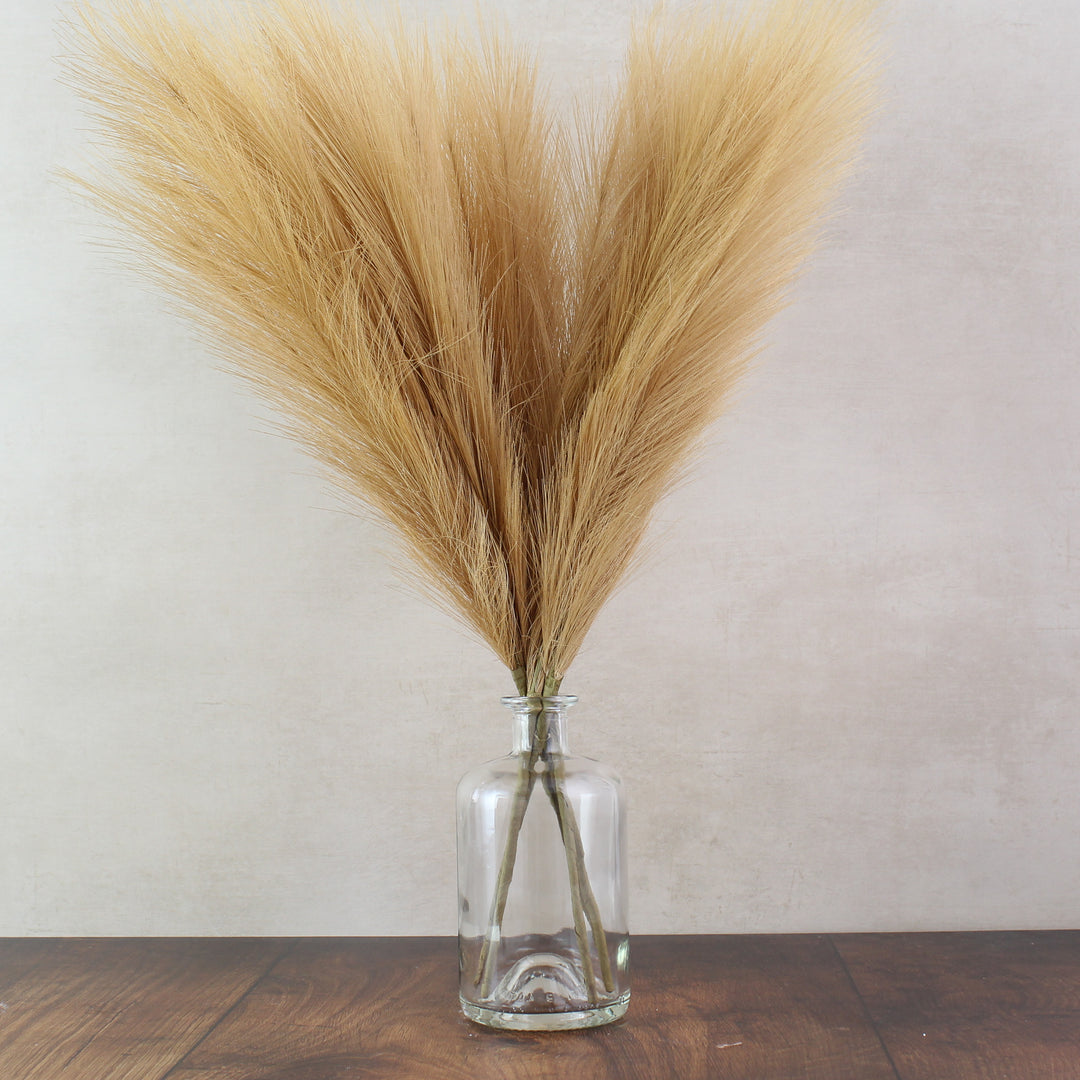 56cm Pampas & Glass Vase