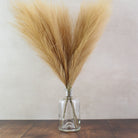 56cm Pampas & Glass Vase - Namie Home