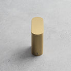 Brushed Gold Robe Hook - Namie Home