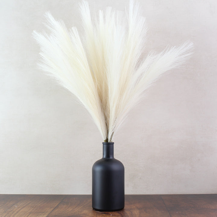 Pampas Grass