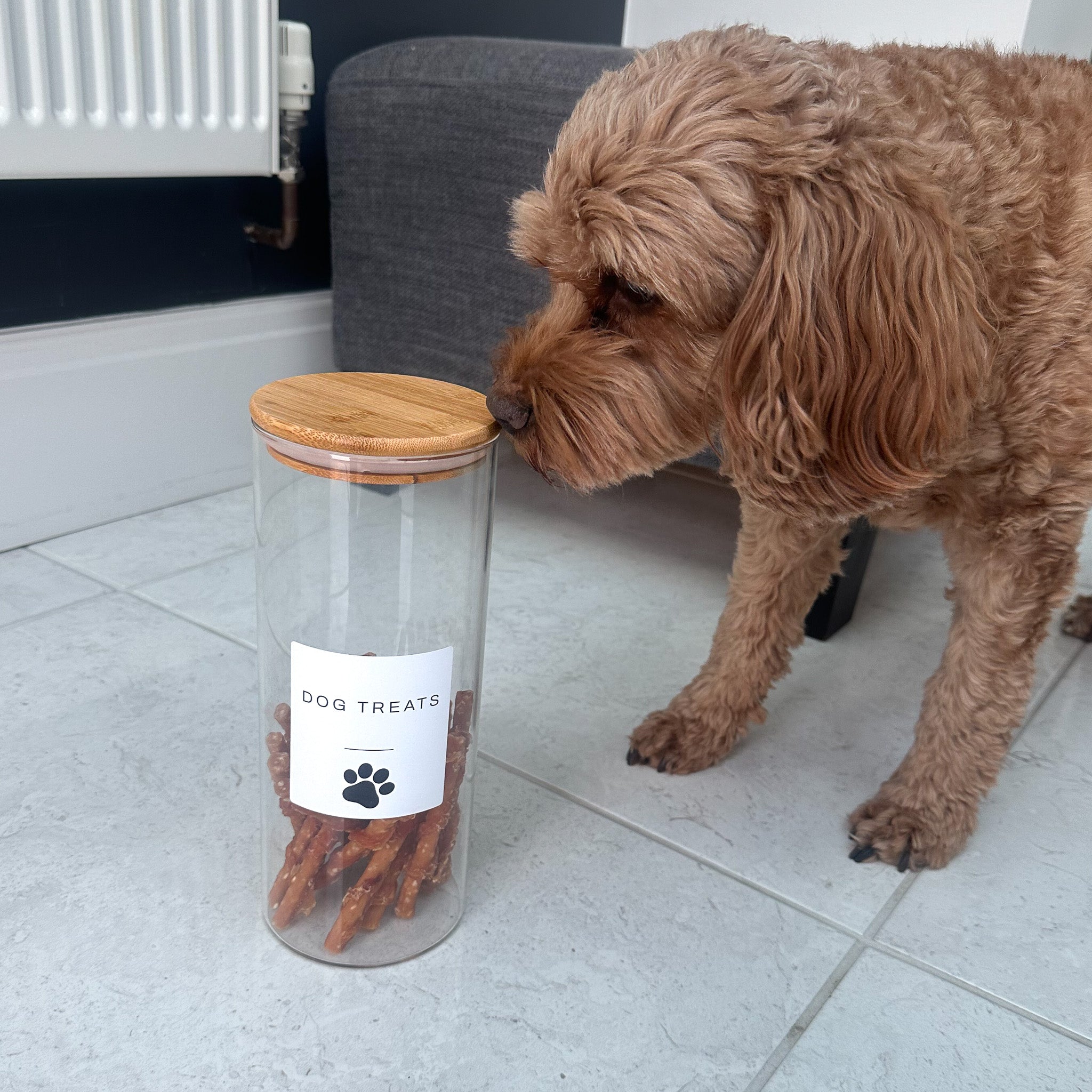 Pet Treat Jar With Bamboo Lid - Namie Home